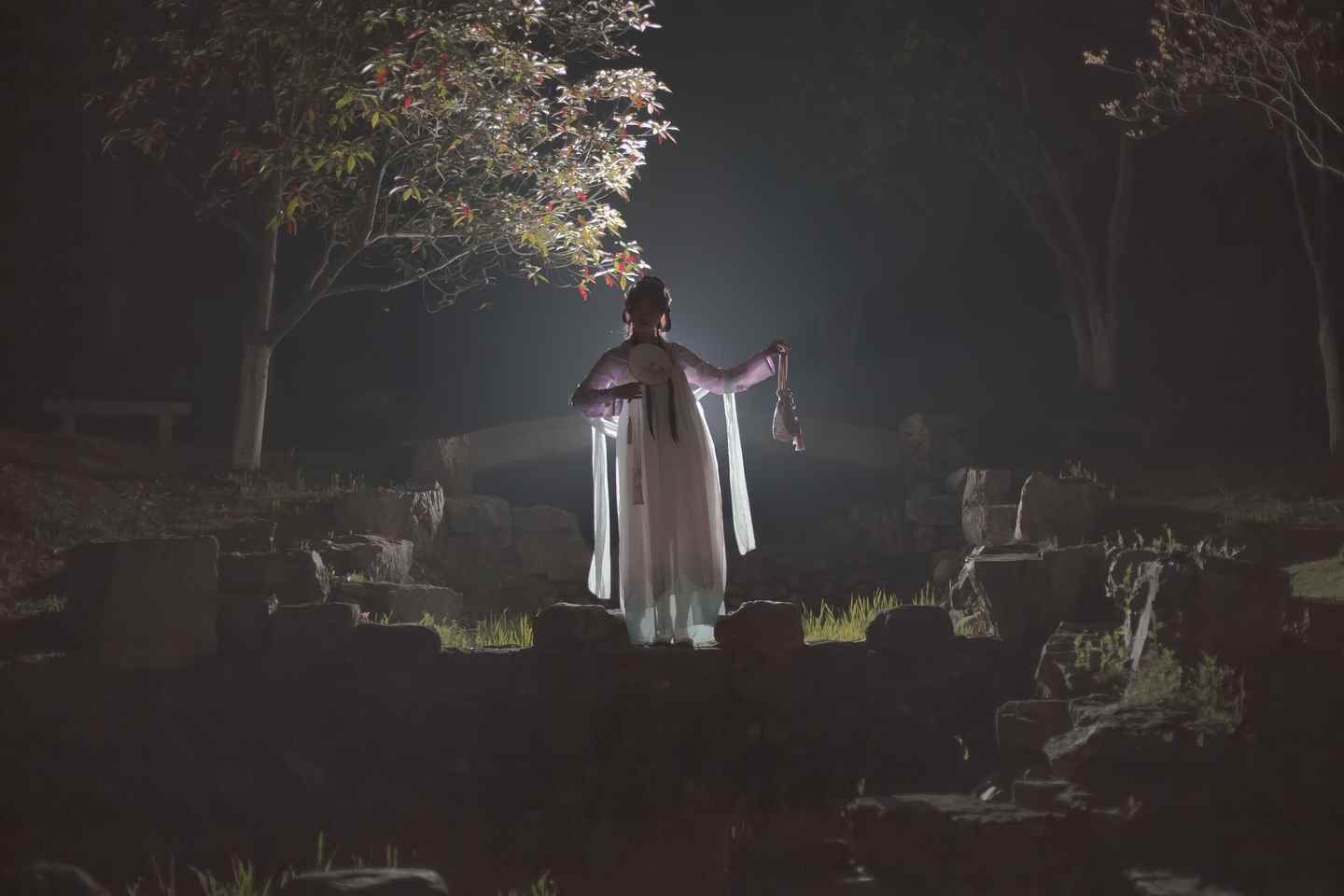 花枝飞舞  花飞花落