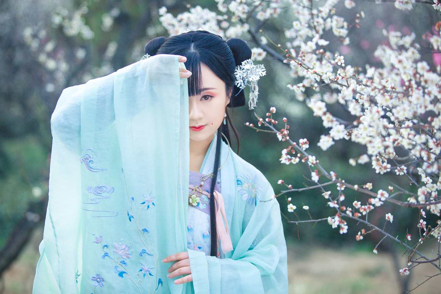 汉服 梅花泪