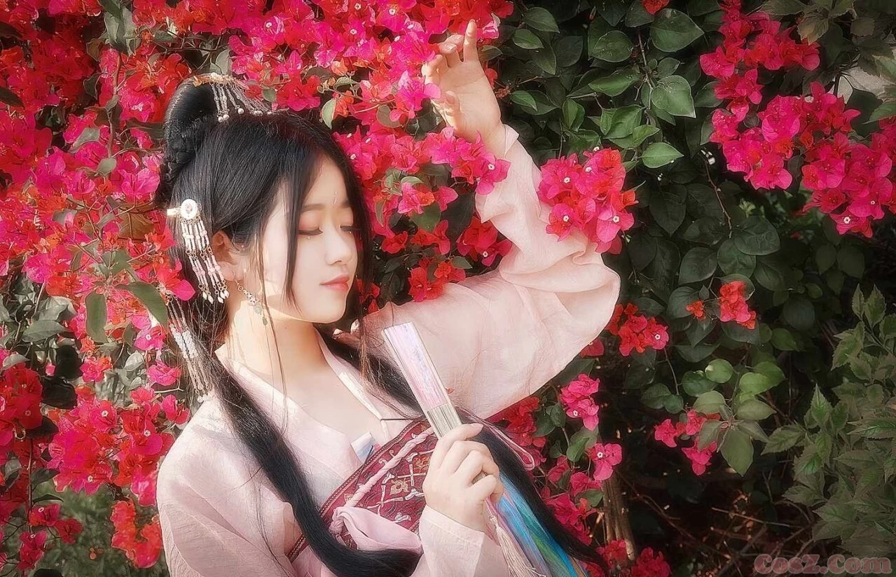 待枫叶落满长安