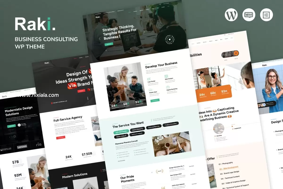 Raki：专为商业咨询量身打造的WordPress主题